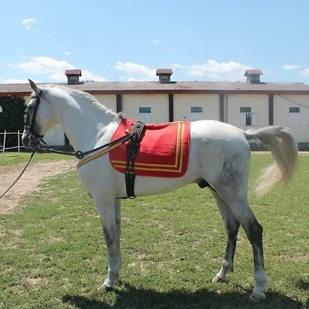 Alex Apartman Velingrad