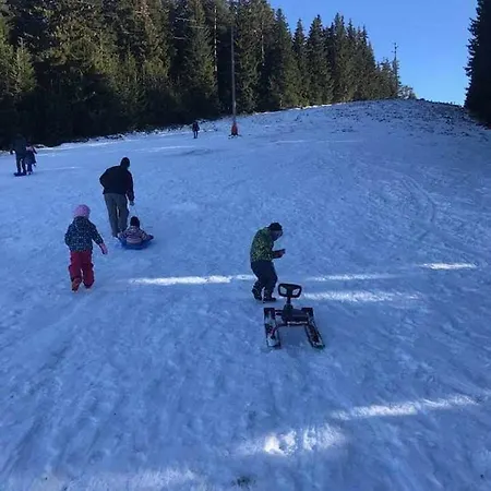 Alex Apartman Velingrad