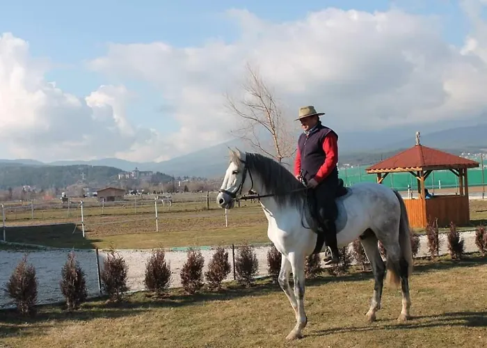 Alex ヴェリングラード