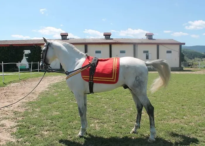 Alex アパート ヴェリングラード