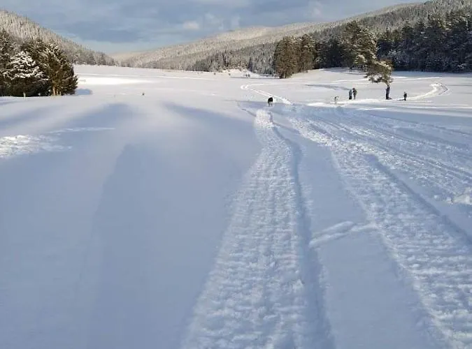 Alex ヴェリングラード