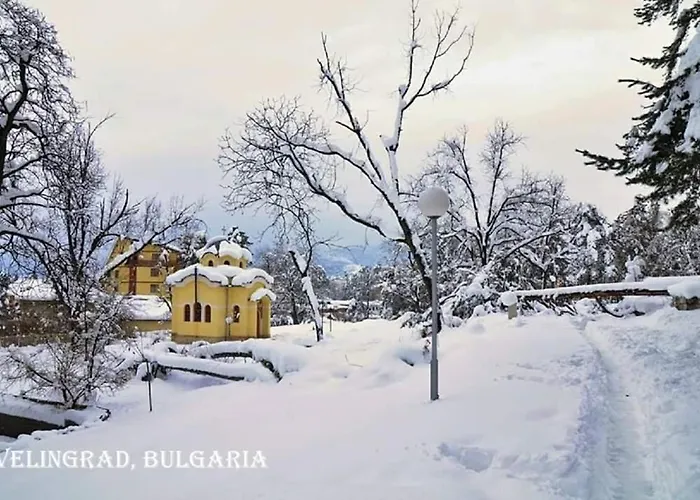 Alex ヴェリングラード